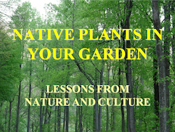 Native Plants in Your Garden by Cole Burrell