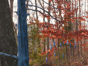 Bird Hill Charlottesville, Virginia Landscape Design with Cole Burrell