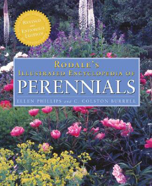 Perennials by Cole Burrell