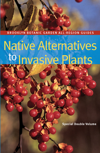 Native Alternatives to Invasive Plants by Cole Burrell